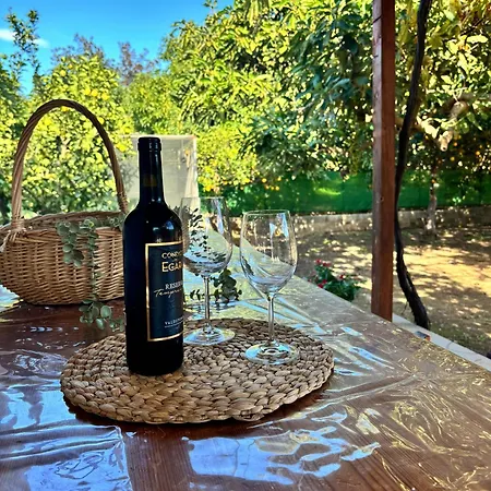 Mi Nina Lola Fuengirola