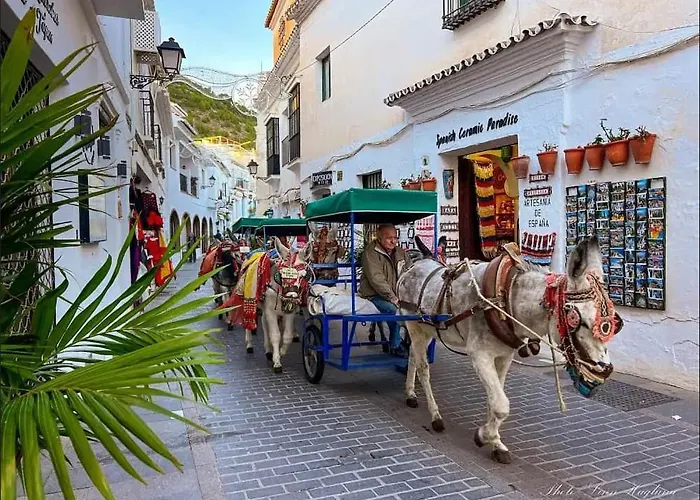 Mi Nina Lola بيت للعطل