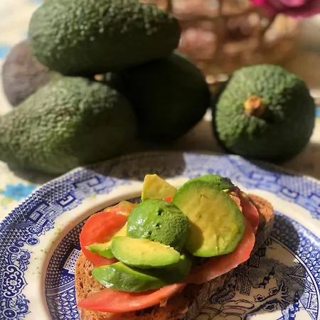 Mi Nina Lola Nyaraló