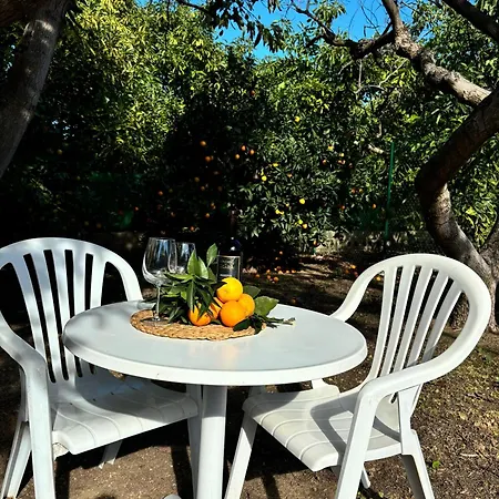 Mi Nina Lola * Fuengirola