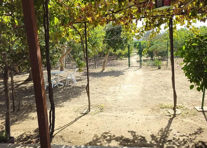 Mi Nina Lola Nyaraló