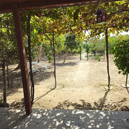 Mi Nina Lola Дом отдыха