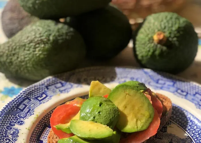 Mi Nina Lola Hébergement de vacances