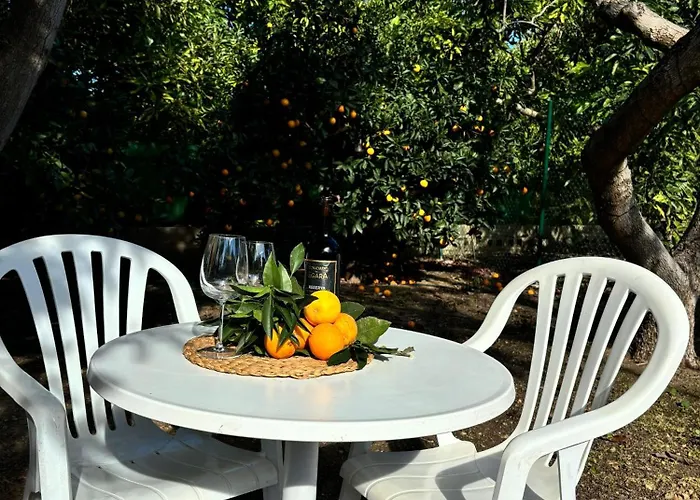 Mi Nina Lola * Fuengirola